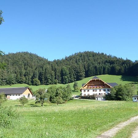 Villa Russbachbauer à Saint Wolfgang Extérieur photo