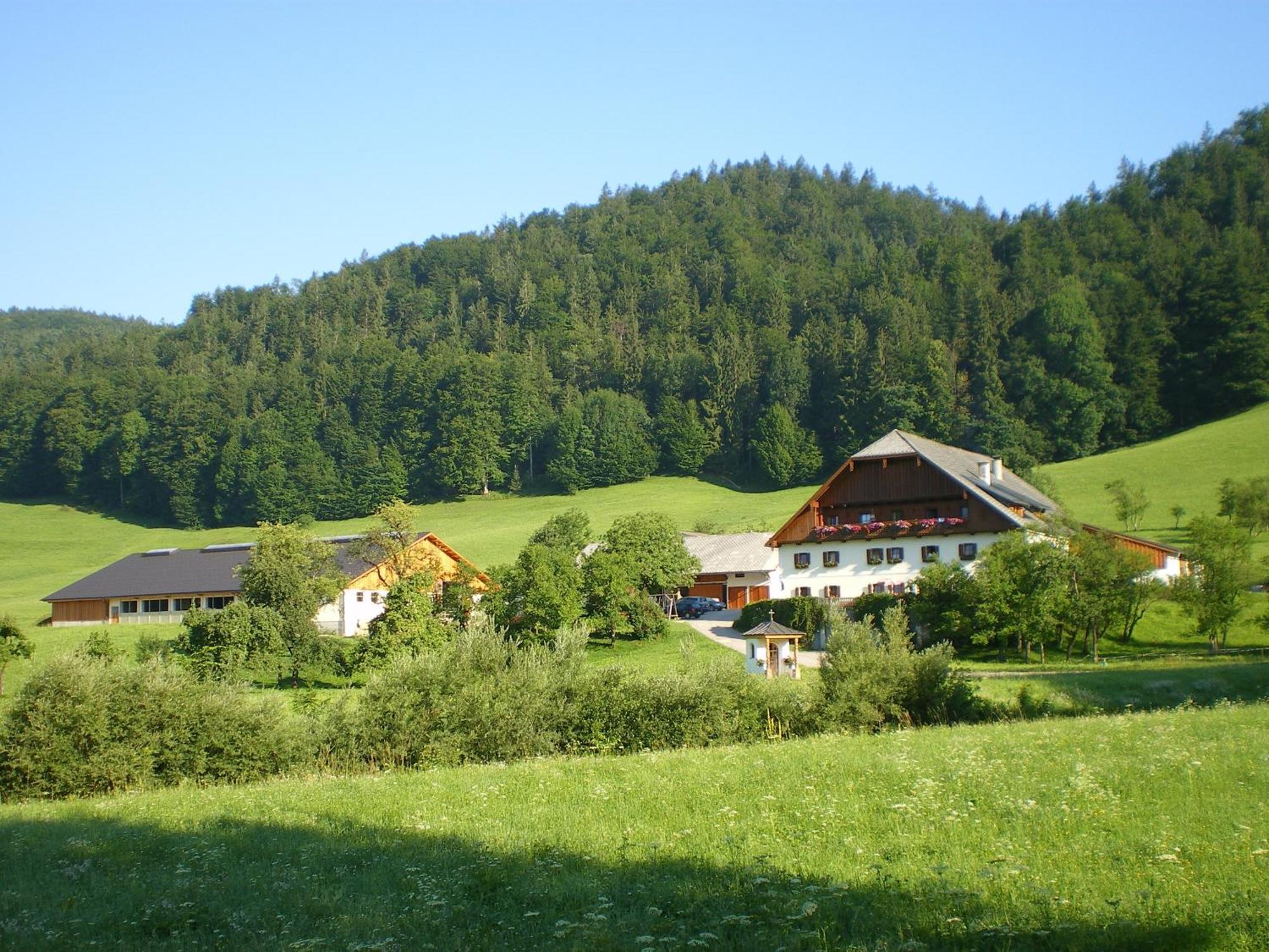 Villa Russbachbauer à Saint Wolfgang Extérieur photo