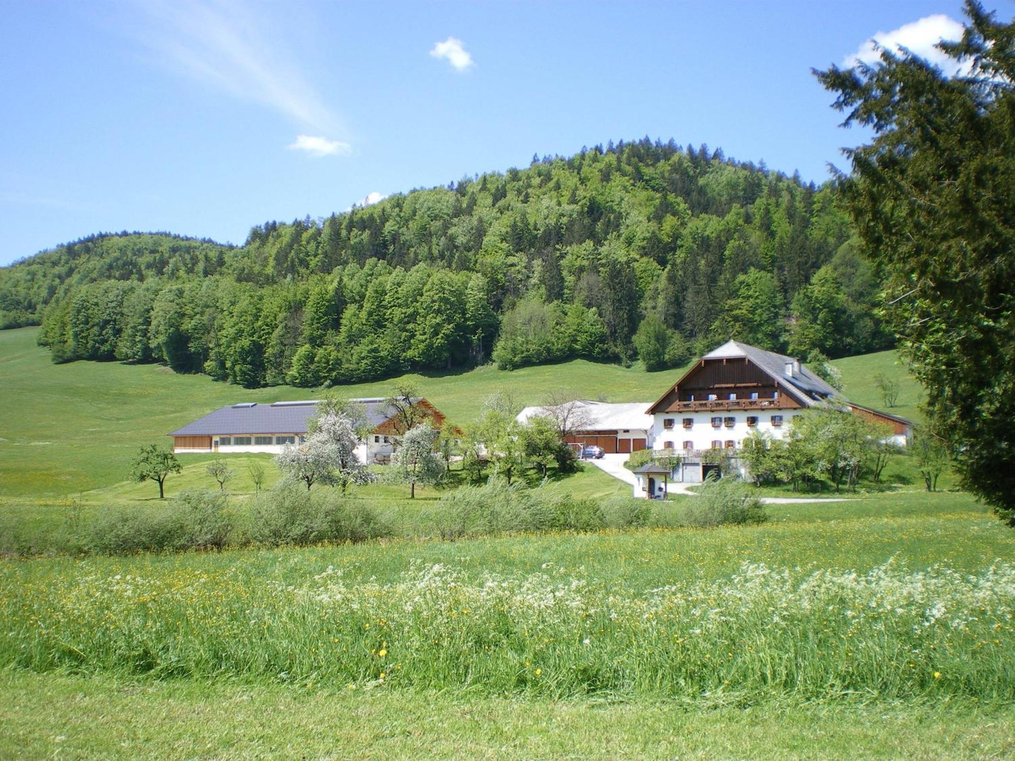 Villa Russbachbauer à Saint Wolfgang Extérieur photo