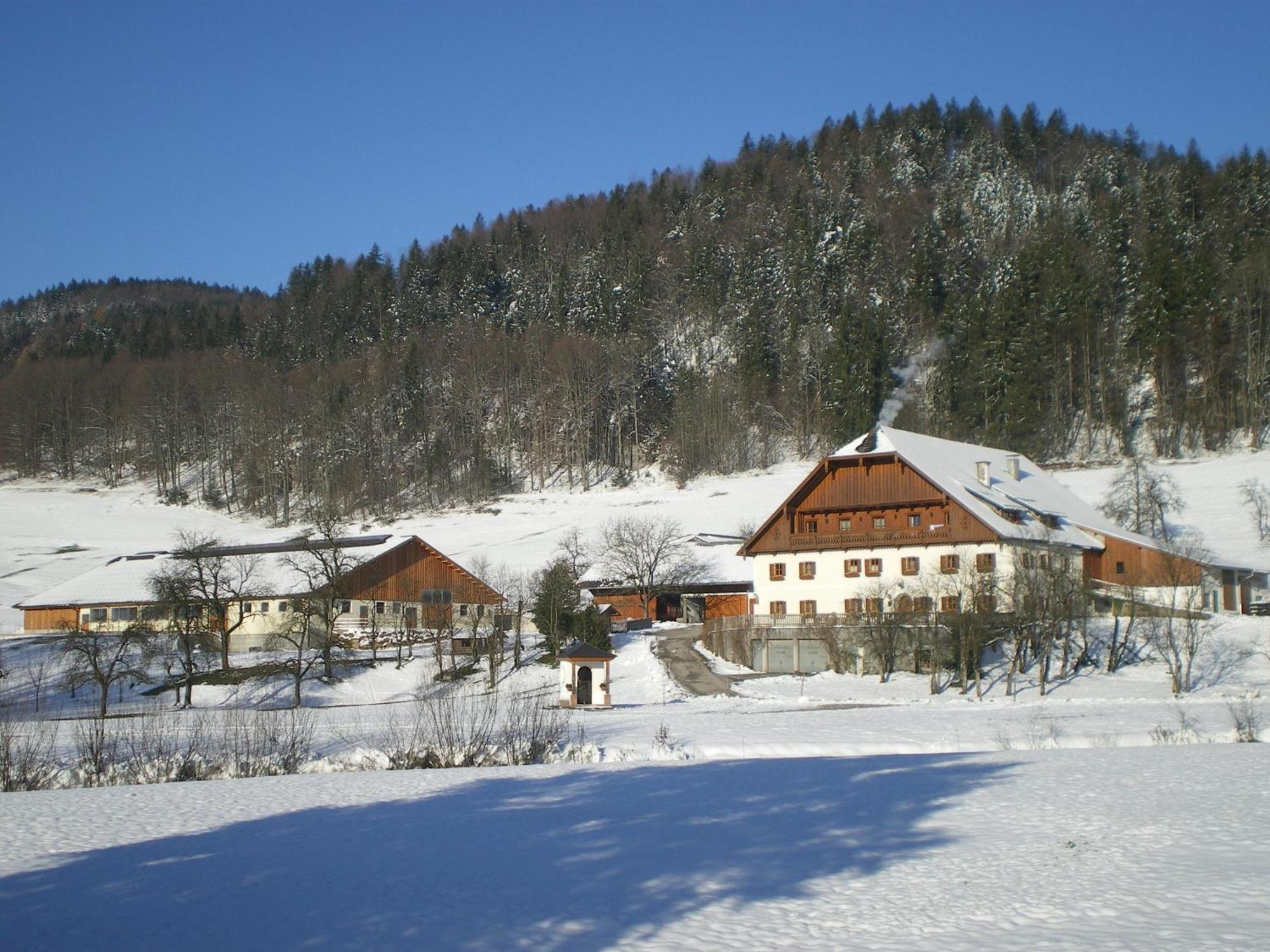 Villa Russbachbauer à Saint Wolfgang Extérieur photo