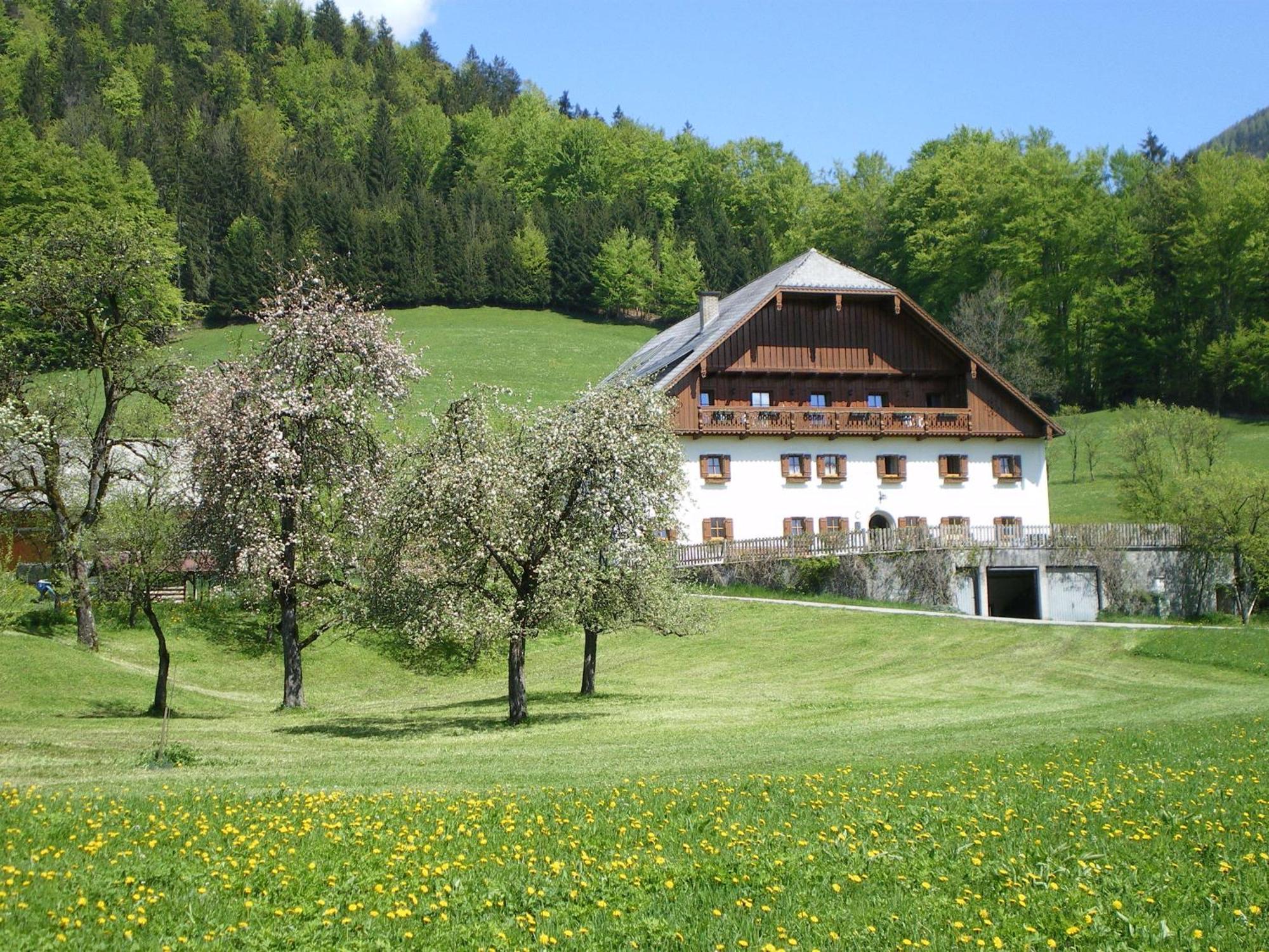 Villa Russbachbauer à Saint Wolfgang Extérieur photo